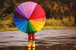 Rainbow umbrella in the rain