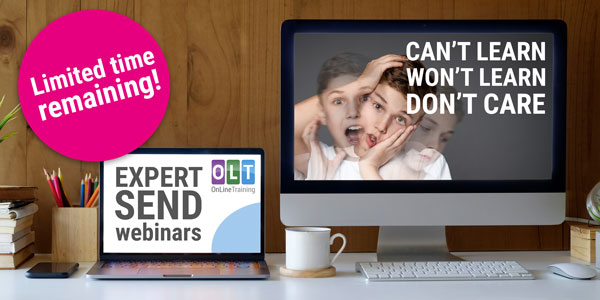 Expert SEND Webinars