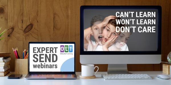 Expert SEND Webinars